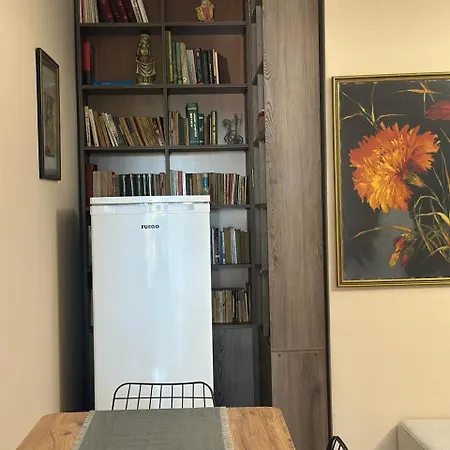 New Bazaar Area, Modern 1br, Private Parking, Ines 公寓 地拉那