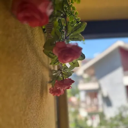 公寓 New Bazaar Area, Modern 1br, Private Parking, Ines *
